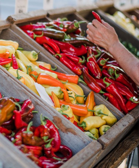 Chiles