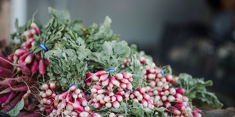 Frutas dos